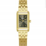 Women's watch BOWA Paris Green-Gold Steel 20 Gift Set