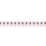 Set for BUBBLE TEA - CUPS 15pcs + STRAWS 15pcs