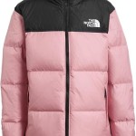 The North Face Kids 1996 Retro Nuptse Jacket (Little Kid/Big Kid)