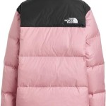 The North Face Kids 1996 Retro Nuptse Jacket (Little Kid/Big Kid)