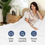 Queen Size 4 Piece Sheet Set - Comfy Breathable & Cooling Sheets - White